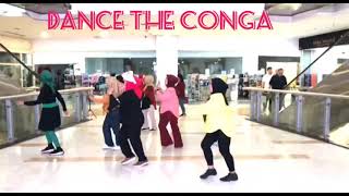 Dance The Conga Line Dance Demo PlasemIldiDki [upl. by Nylak]