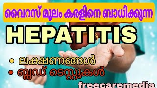 Hepatitis symptoms malayalam liver bloodtests [upl. by Browne]