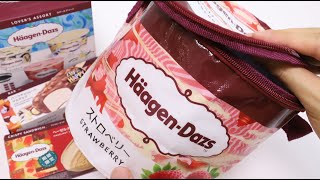 HaagenDazs Ice Cream Summer Lucky Bag HaagenDazs ice cream shaped Cooler Bag is So Good [upl. by Wun]