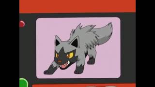 Poochyena Pokedex Entry [upl. by Aicilev477]