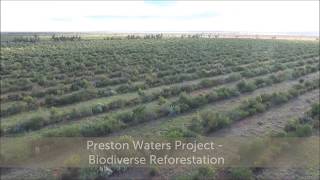 Australian Native Reforestation project  Yarra Yarra Biodiversity Corridor  Carbon Neutral [upl. by Eirrehc428]