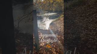 Autumnal Aberfoyle 🍂  A beautiful autumn day walk along the Doon Hill amp Fairy Knowe trailScotland [upl. by Merrily]