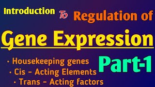 Regulation of Gene Expression  part  1  Biochemistry genetics [upl. by Ceciley]