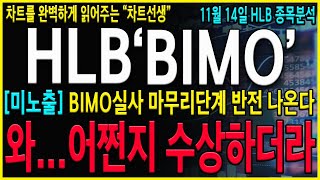 HLB 에이치엘비 quot긴급quot 와어쩐지 수상하더라 BIMO실사 마무리 단계 역시 반전은 있었네요 결국 12월은 축제입니다 HLB HLB주가 HLB제약 [upl. by Carmine]