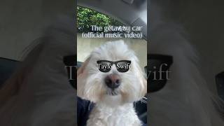 The getaway car Taylor Swift official music video🐕🐕🐕 [upl. by Packton]