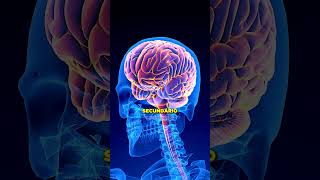 📍VOCÊ TEM DE CUIDAR DO SEU INTESTINO paulomuzy saúdeintestinal nutrição [upl. by Ertemed]