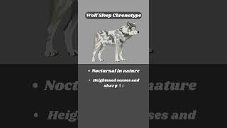 The Wolf  Sleep Chronotypes [upl. by Agni]