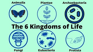 Basic Taxonomy6 Kingdoms of LifeClassification [upl. by Mariya987]