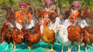 Tiger Chicken Biriyani  Giant Size Country Chicken Cooking  Morog Pulao Recipe of Grandpa [upl. by Akihsat]