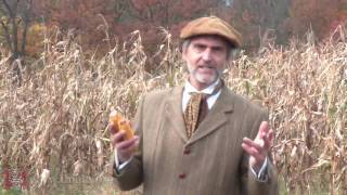 George Shull explains hybrid corn and heterosis hybrid vigor 1909 [upl. by Mahau629]