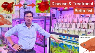 Betta fish disease amp treatment  How to Save Dying betta fish  Pari Aquarium Kurla fish market [upl. by Aicirtak501]