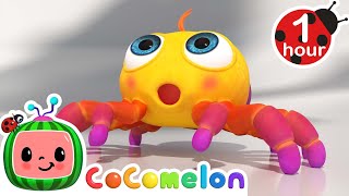 Itsy Bitsy Spider  CoComelon Animal Time  Learning with Animals  Nursery Rhymes for Kids [upl. by Aniaj501]