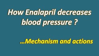 How enalapril decreases blood pressure  Mechanism amp actions [upl. by Debera72]