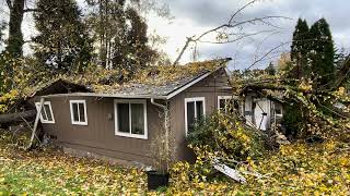 Tree falls on Kelso home displaces family [upl. by Heater30]