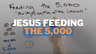 Feeding of the 5000 Summary and Meaning [upl. by Ymot]