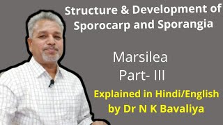 Structure and Development of Sporocarp and Sporangia of Marsilea by Dr N K Bavaliya Principal [upl. by Alleynad]