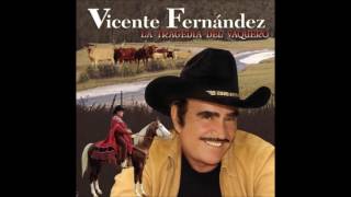 VICENTE FERNANDEZ ÉXITOS VOL 1 FULL AUDIO [upl. by Bora]