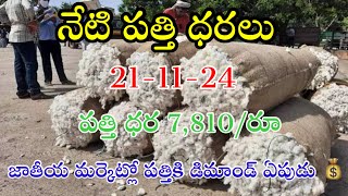 21112024 today cotton prices warangal khammam cotton prices adoni cotton price todayపత్తి ధరలు [upl. by Ejrog]