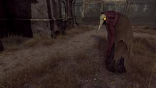 Pathologic The Marble Nest OST  Plagued Indoor [upl. by Isleana105]