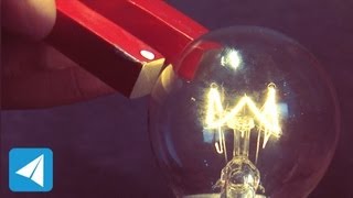 Horseshoe magnet causes bulb filament to oscillate  Electromagnetism  Physics [upl. by Obediah87]