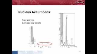 04  Neurotransmitter Analyzer 2012 [upl. by Mcmurry]