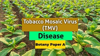 Tobacco Mosaic Virus TMV Disease  Botany Paper A  TMV  BotanyA GreenLearningwithHIRA [upl. by Ylen]