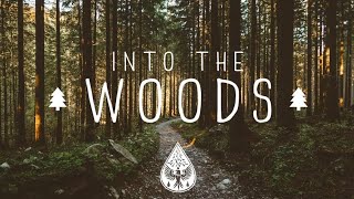 Into The Woods 🌲  A Mysterious FolkPop Playlist [upl. by Hgielac596]