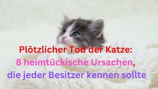 Plötzlicher Tod der Katze 8 heimtückische Ursachen die jeder Besitzer kennen sollte [upl. by Yr]