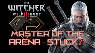 The Witcher 3  Master Of The Arena  Stuck [upl. by Ahsiryt]