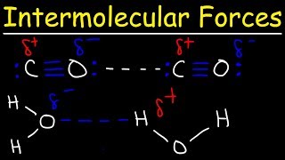 Intermolecular Forces  Hydrogen Bonding Dipole Dipole Interactions  Boiling Point amp Solubility [upl. by Bac]