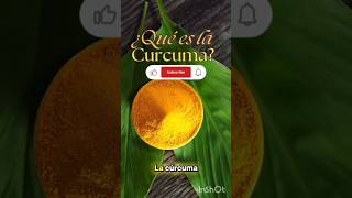 🌿BENEFICIOS DE LA CURCUMA💚 curcuma beneficios salud [upl. by Revert127]