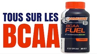 BCAA  COMBIEN  QUAND  RATIO  AVEC QUOI  DOSAGE PRO [upl. by Ergener941]