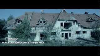 Cosy  O sami mearga struna Official Video 2013 [upl. by Sue]