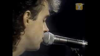 Soda Stereo Festival de Viña del Mar 1987 Segunda Noche [upl. by Onifur222]