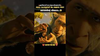 അവൻ നേരെ വായിലേക്ക് വീണു😰 DBZscenezz shorts ytshorts [upl. by Enotna263]