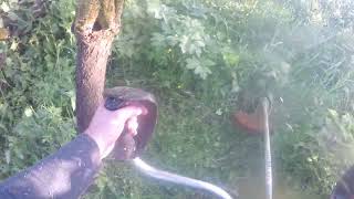 Mowing pov with Stihl FS 490 cem [upl. by Greenquist780]