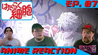 F CANCER  Anime Reaction Hataraku Saibou Ep 07 [upl. by Nnateragram47]