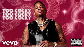 YG  Too Cocky Official Audio [upl. by Olegna]