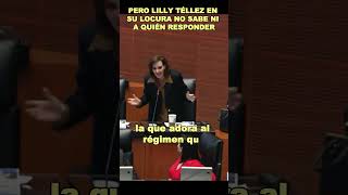 LillyTéllez demuestra su demencia en el Senado [upl. by Gustavus]