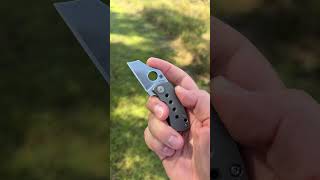 Spyderco Mcbee 🕷️🐝 edc woods benice [upl. by Rebeh]