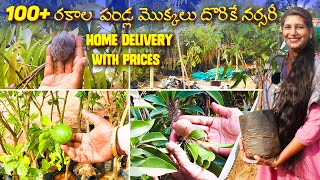 🔴100 Fruit varieties Plants in One Nursery  Home DELIVERY available  Best nursery in Hyderabad [upl. by Ody462]