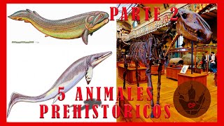 5 ANIMALES PREHISTÓRICOS QUE NO CONOCÍAS PARTE 2 [upl. by Iretak]