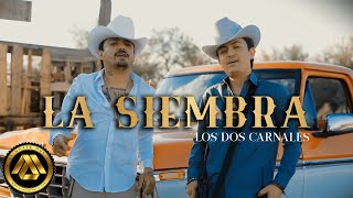 Los Dos Carnales  La Siembra Video Oficial [upl. by Aluap]