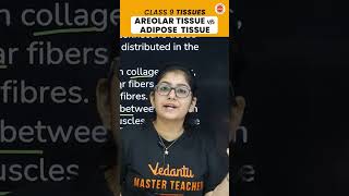 Understanding Areolar vs Adipose Tissue 🧐🔬 vedantu9class cbseclasses [upl. by Bail]