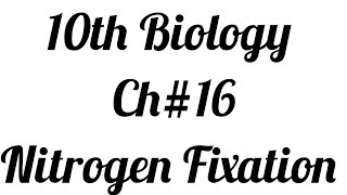 Nitrogen Cycle Nitrogen FixationCh1610th Biology [upl. by Luca451]