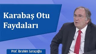 Karabaş Otu Faydaları  İbrahim Saraçoğlu [upl. by Asset]