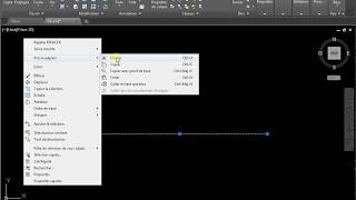 Comment supprimer une ligne dans autocad [upl. by Namurt]