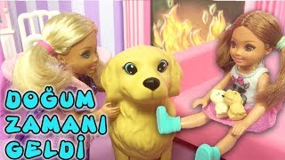 Barbie ve Ailesi Bölüm 158  Köpeğimiz Tuffy Doğum Yapıyor  Çizgi film tadında Barbie Oyunları [upl. by Eatnwahs672]