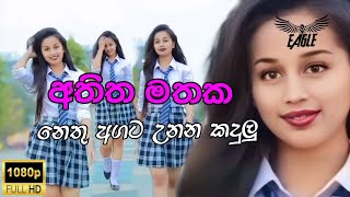 නෙතු අගට උනන කදුලු [upl. by Nahgaem735]