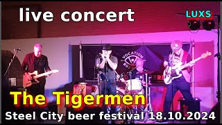 The Tigermen live at Kelham Island Beer Festival 171024 [upl. by Namrac]